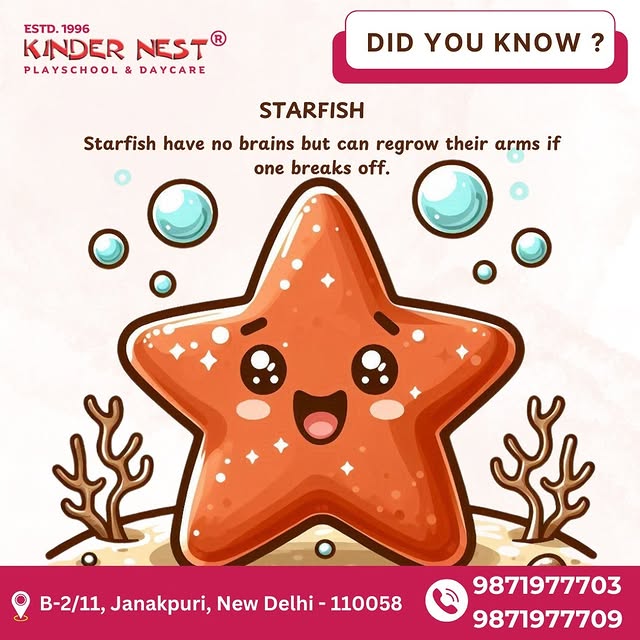 Post by kindernestjanakpuri